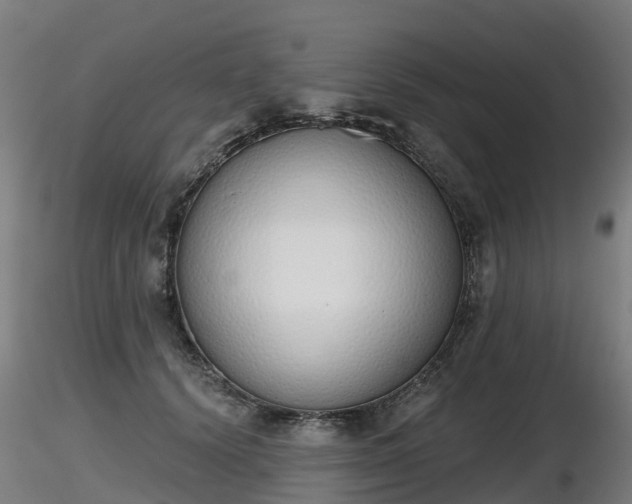 X0000116830656200912241228