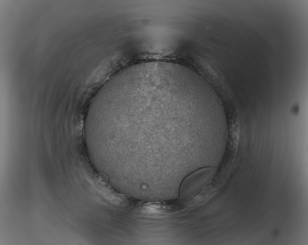 X0000116830657200912241228