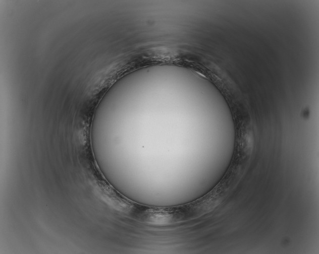X0000116830658200912241228
