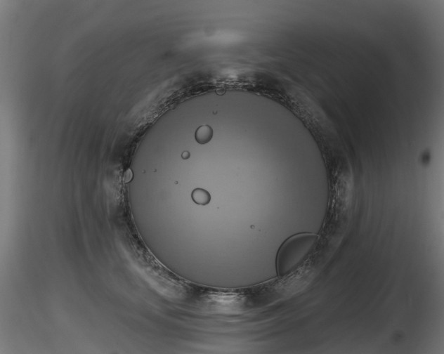 X0000116830659200912241228