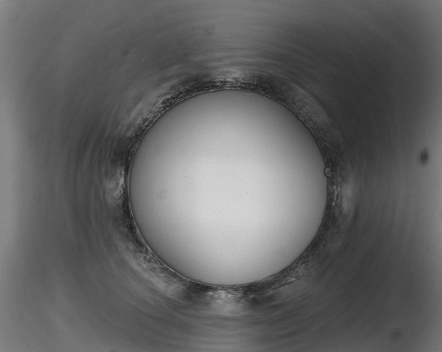 X0000116830660200912241228