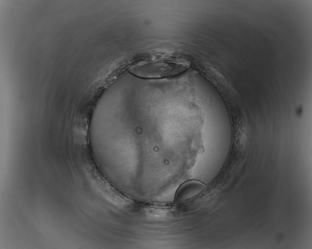 X0000116830661200912241228
