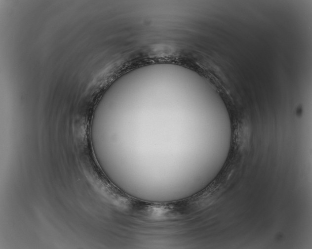 X0000116830662200912241228