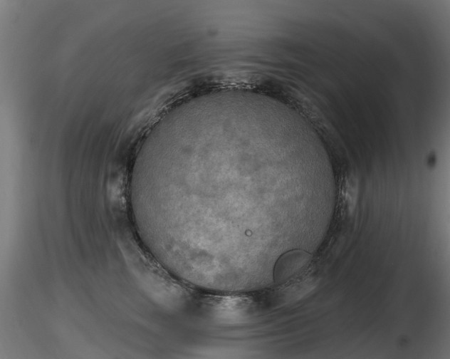 X0000116830663200912241228