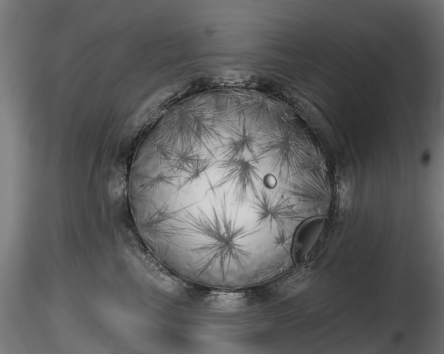 X0000116830665200912241228