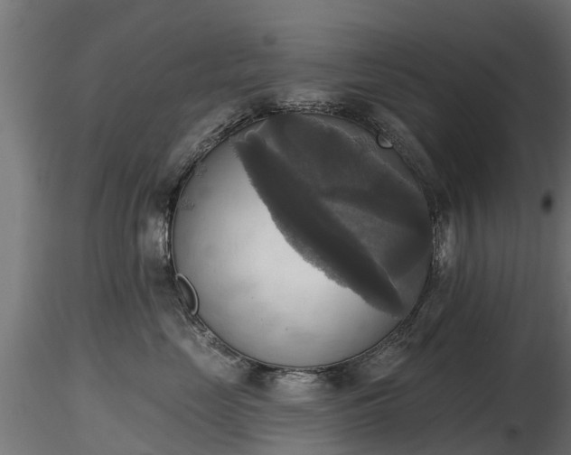 X0000116830669200912241228