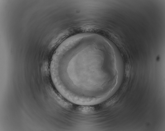 X0000116830670200912241228