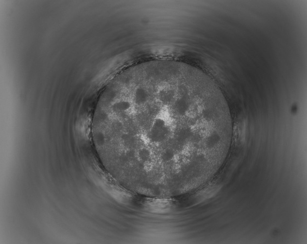 X0000116830671200912241228
