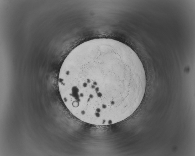 X0000116830672200912241228