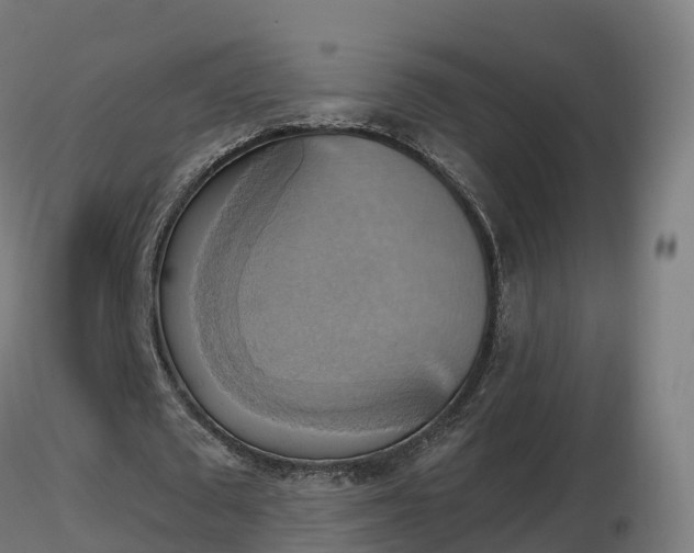 X0000116830673200912241227