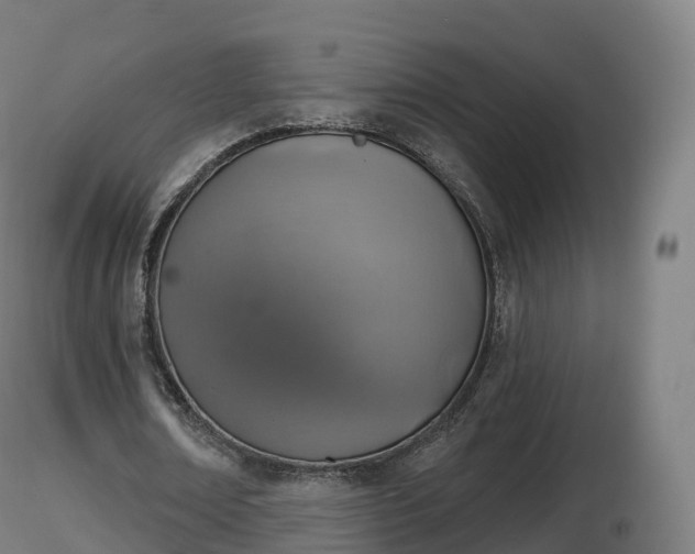 X0000116830674200912241227