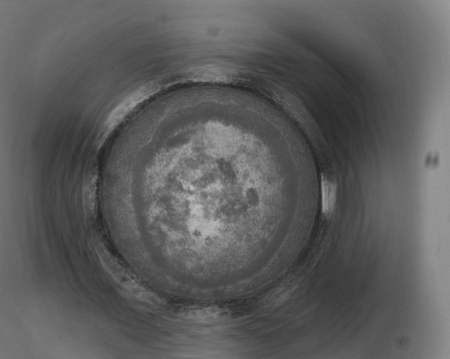 X0000116830675200912241227