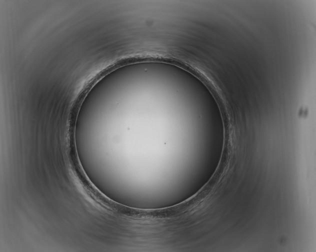 X0000116830677200912241227