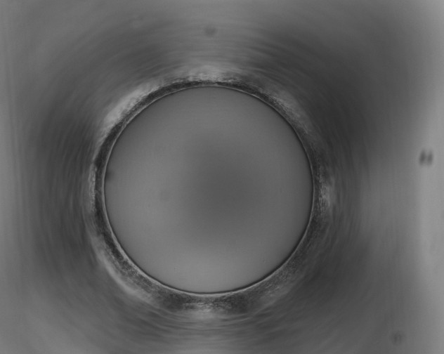 X0000116830678200912241227