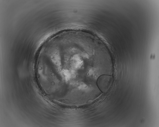 X0000116830679200912241227