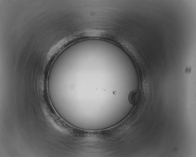 X0000116830682200912241227