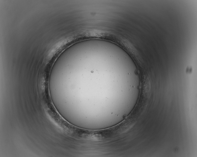 X0000116830683200912241227