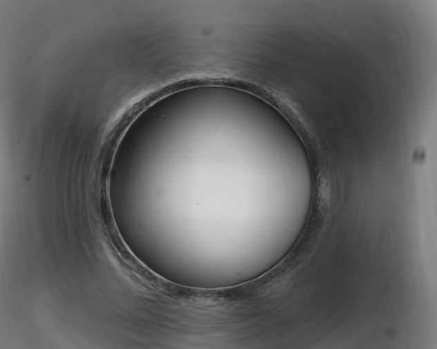 X0000116830684200912241227