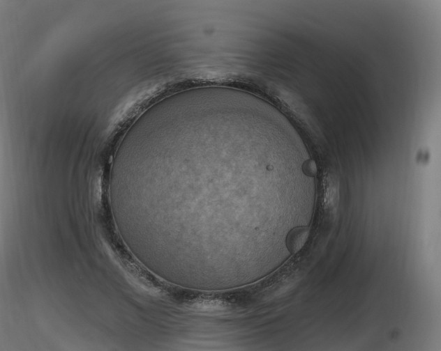 X0000116830685200912241227