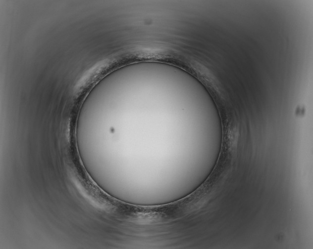 X0000116830686200912241227