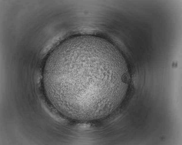X0000116830687200912241227