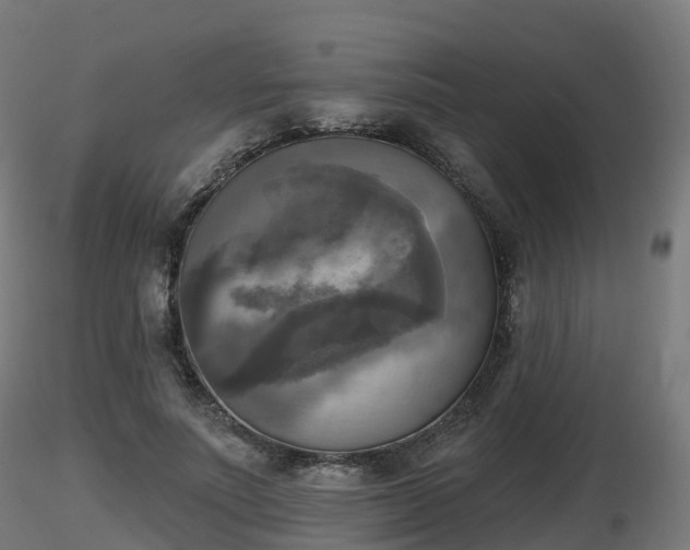 X0000116830691200912241227