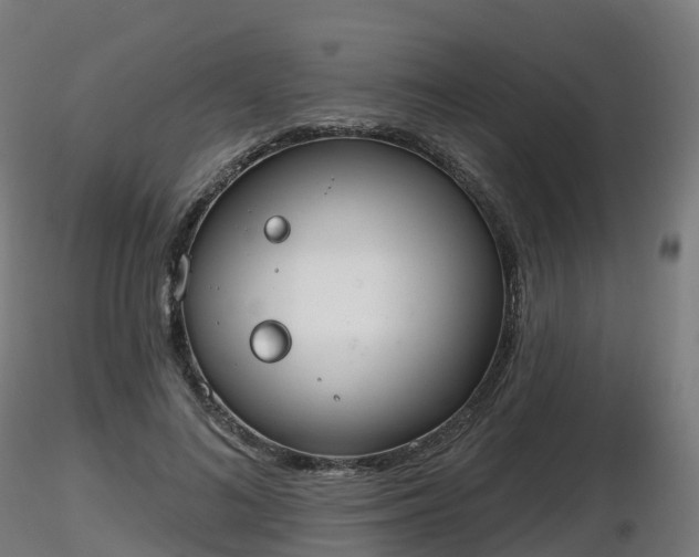 X0000116830692200912241227