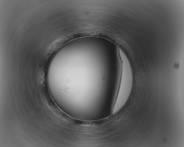 X0000116830693200912241227