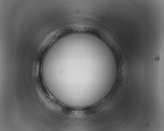 X0000116830694200912241227