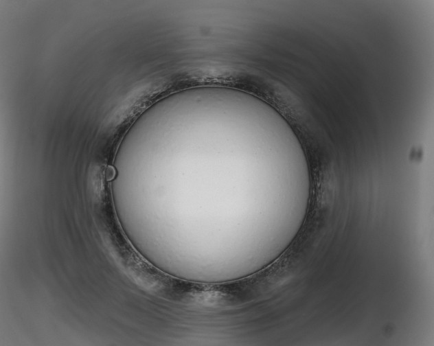 X0000116830695200912241227