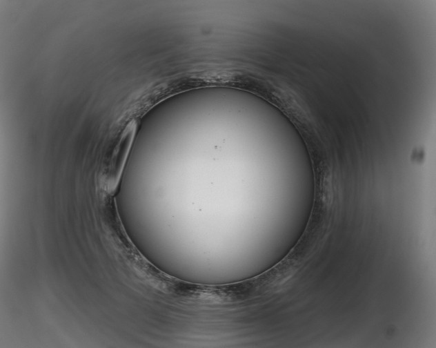 X0000116830697200912241227
