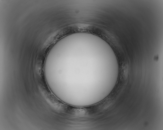 X0000116830698200912241227