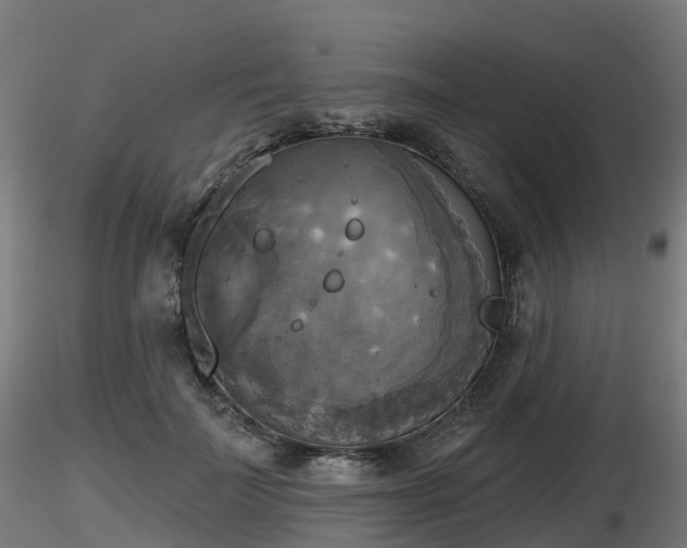 X0000116830699200912241227