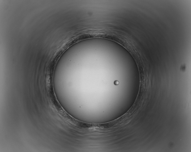 X0000116830700200912241227