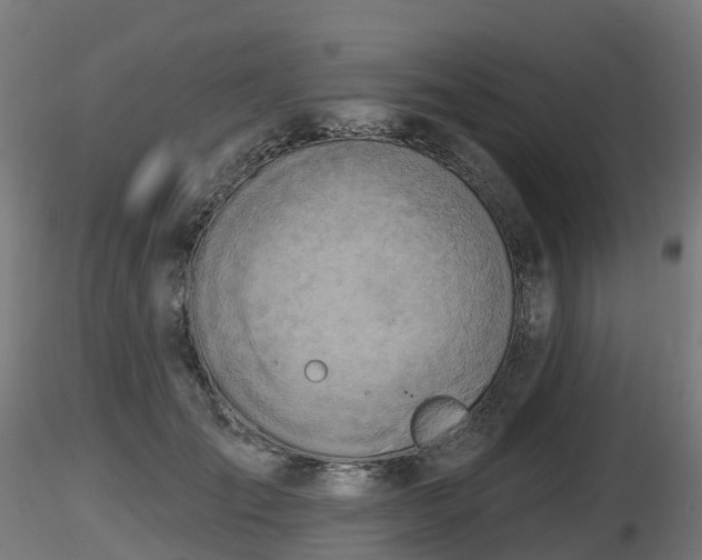 X0000116830701200912241227