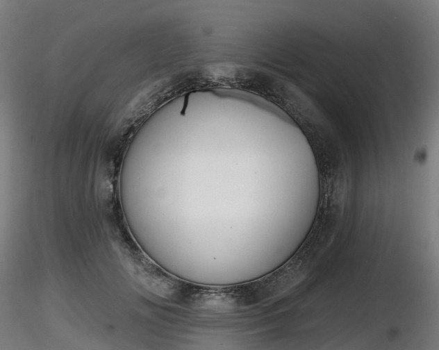 X0000116830702200912241227