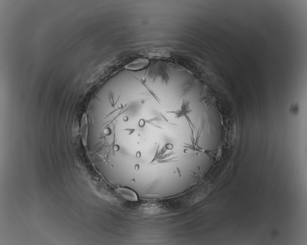 X0000116830704200912241227