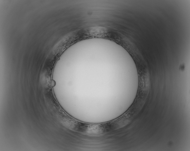 X0000116830705200912241227