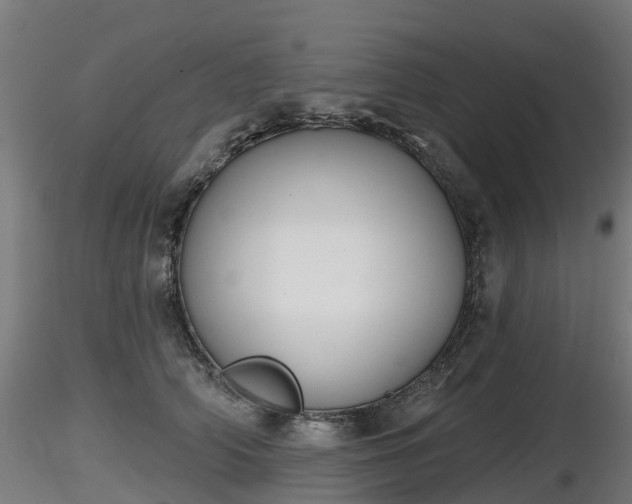 X0000116830706200912241227