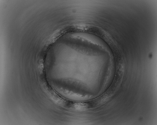 X0000116830707200912241227