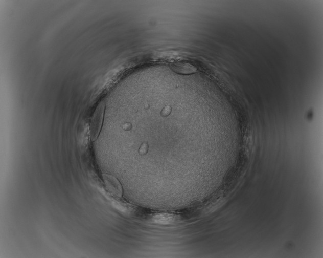 X0000116830708200912241227