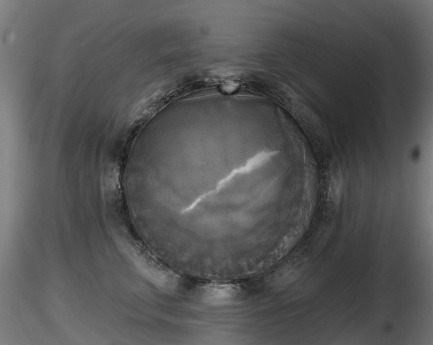X0000116830711200912241227