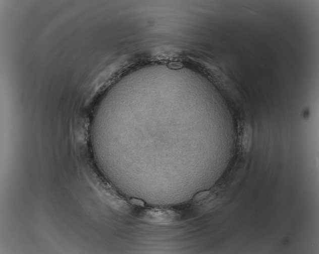 X0000116830712200912241227