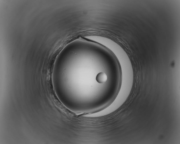 X0000116830713200912241227