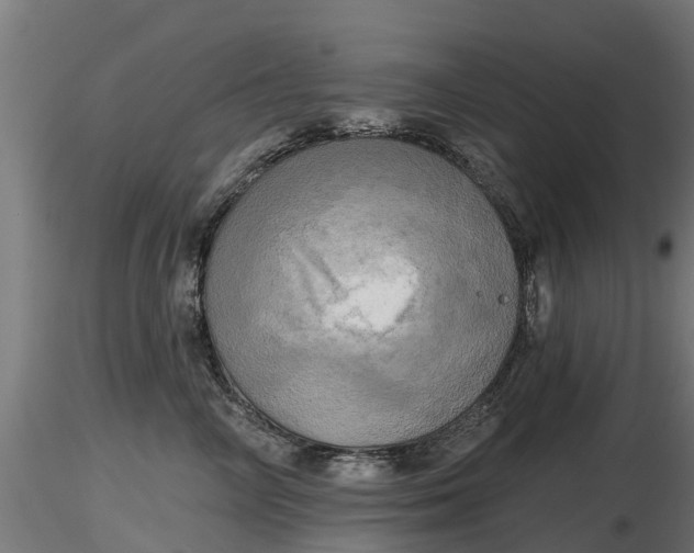 X0000116830714200912241227