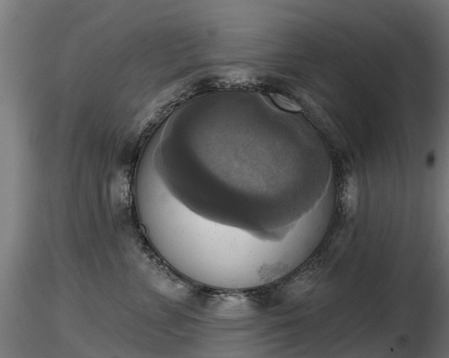 X0000116830715200912241227