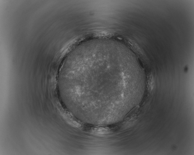 X0000116830716200912241227