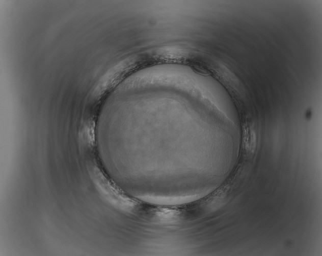 X0000116830718200912241226