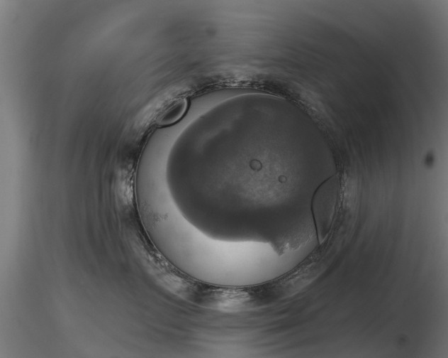 X0000116830719200912241226