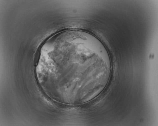 X0000116830721200912241226